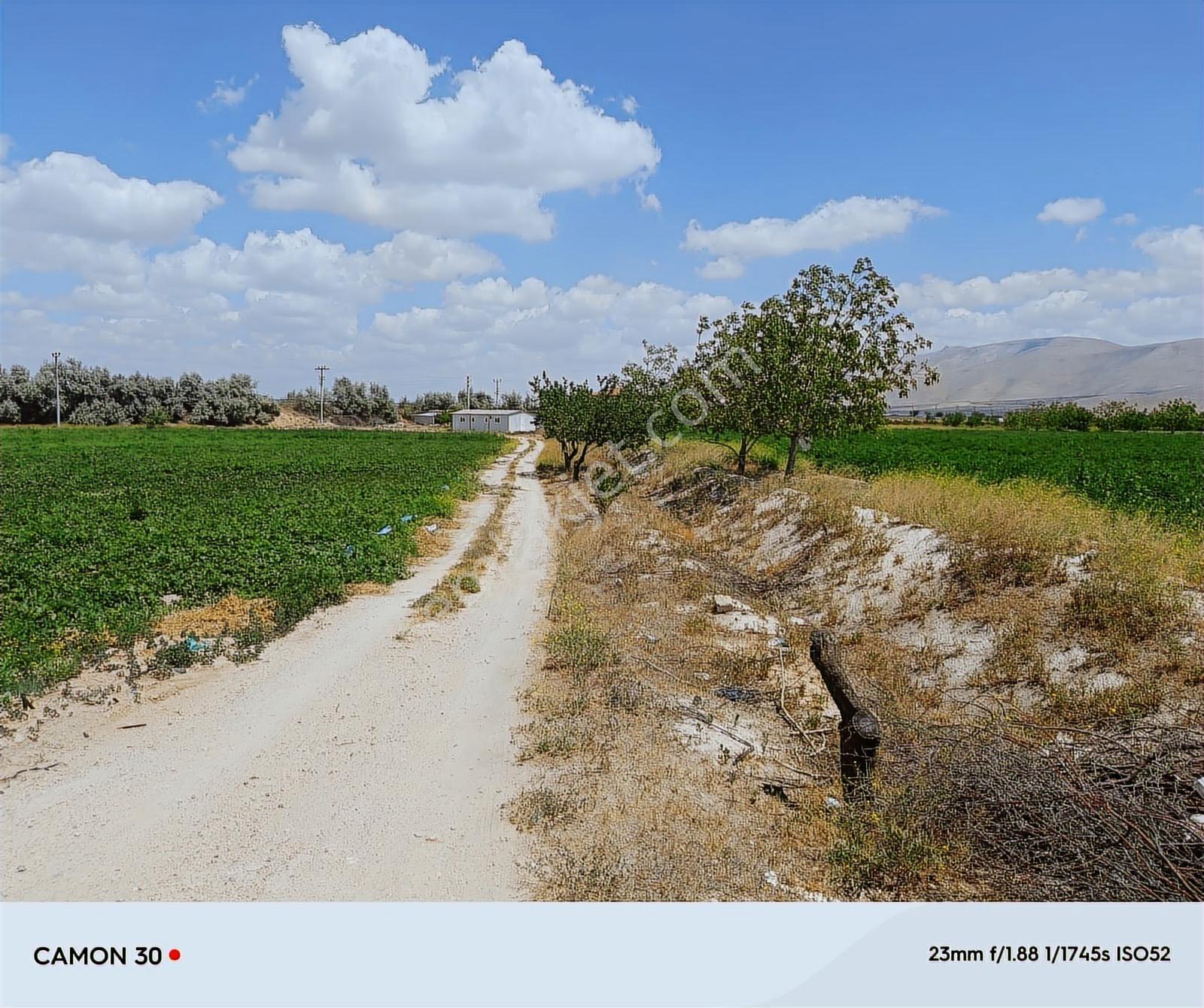 Cm Emlak Sazlıca Yukarı Mah. 10.062 M2 Muhtesem Konumlu Arazi - Görsel 10