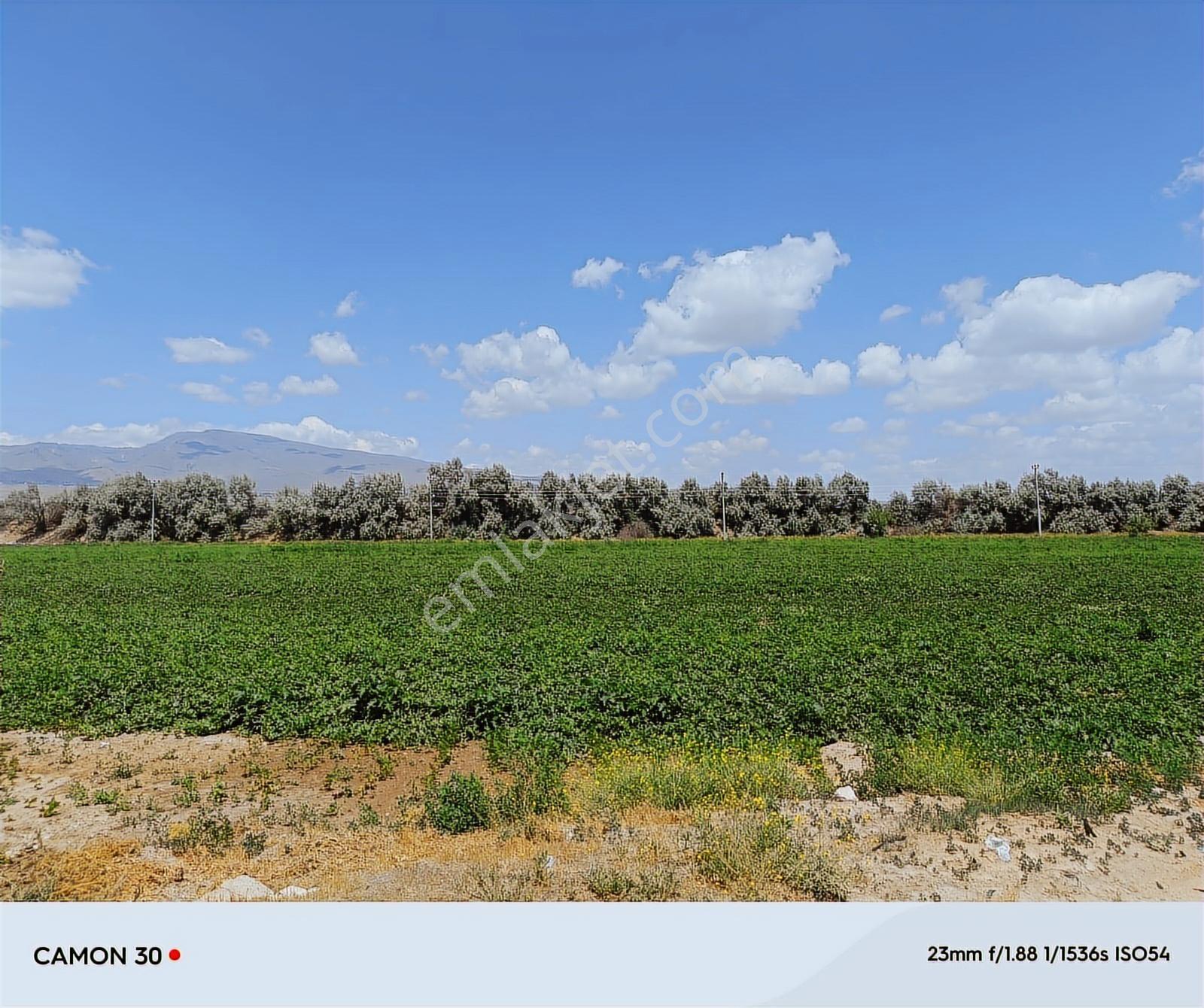 Cm Emlak Sazlıca Yukarı Mah. 10.062 M2 Muhtesem Konumlu Arazi - Görsel 9