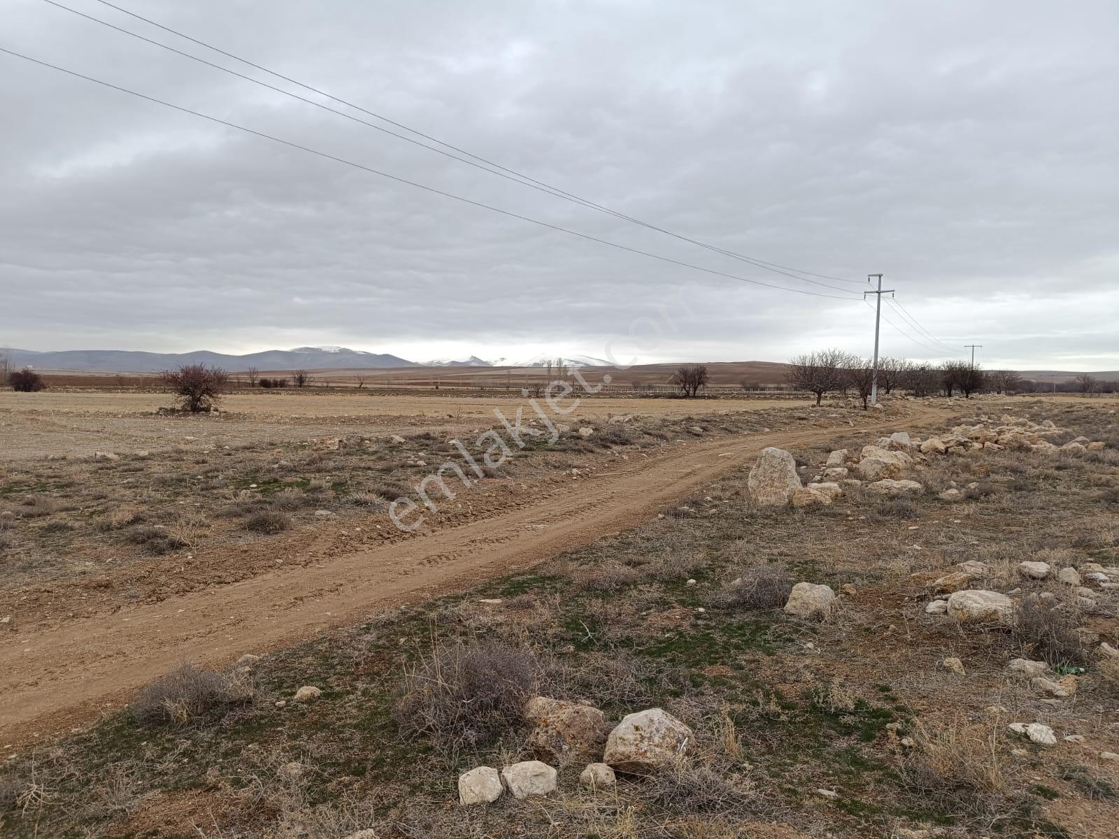 Cm Emlak Bahçeli De Otoban Üstünde 30000 M2 Tarla - Görsel 16