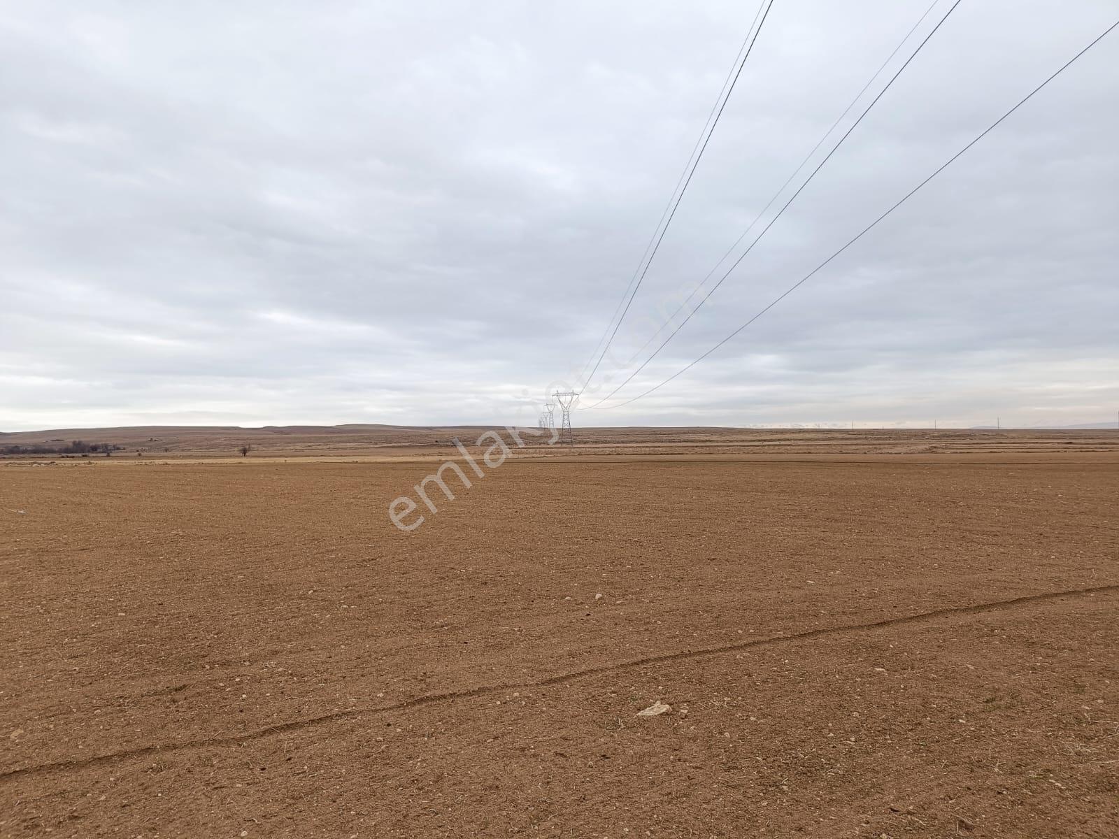 Cm Emlak Bahçeli De Otoban Üstünde 30000 M2 Tarla - Görsel 2