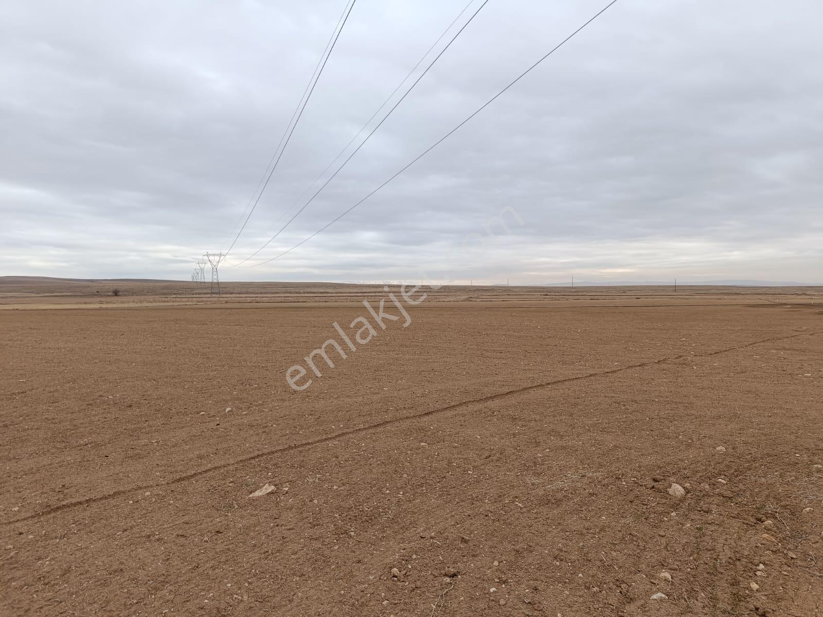 Cm Emlak Bahçeli De Otoban Üstünde 30000 M2 Tarla - Görsel 3