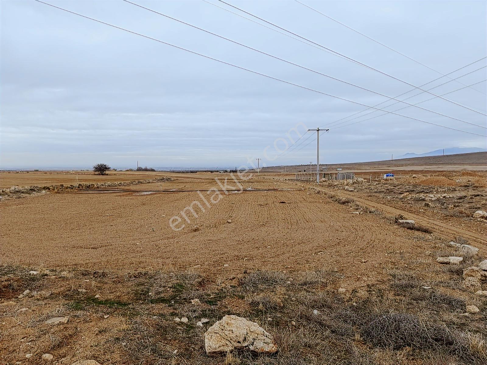 Cm Emlak Bahçeli De Otoban Üstünde 30000 M2 Tarla - Görsel 14