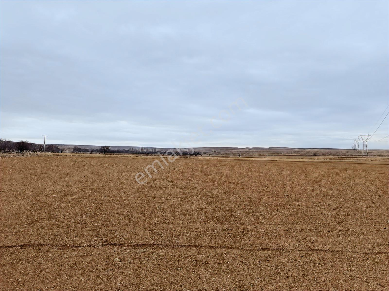 Cm Emlak Bahçeli De Otoban Üstünde 30000 M2 Tarla - Görsel 18