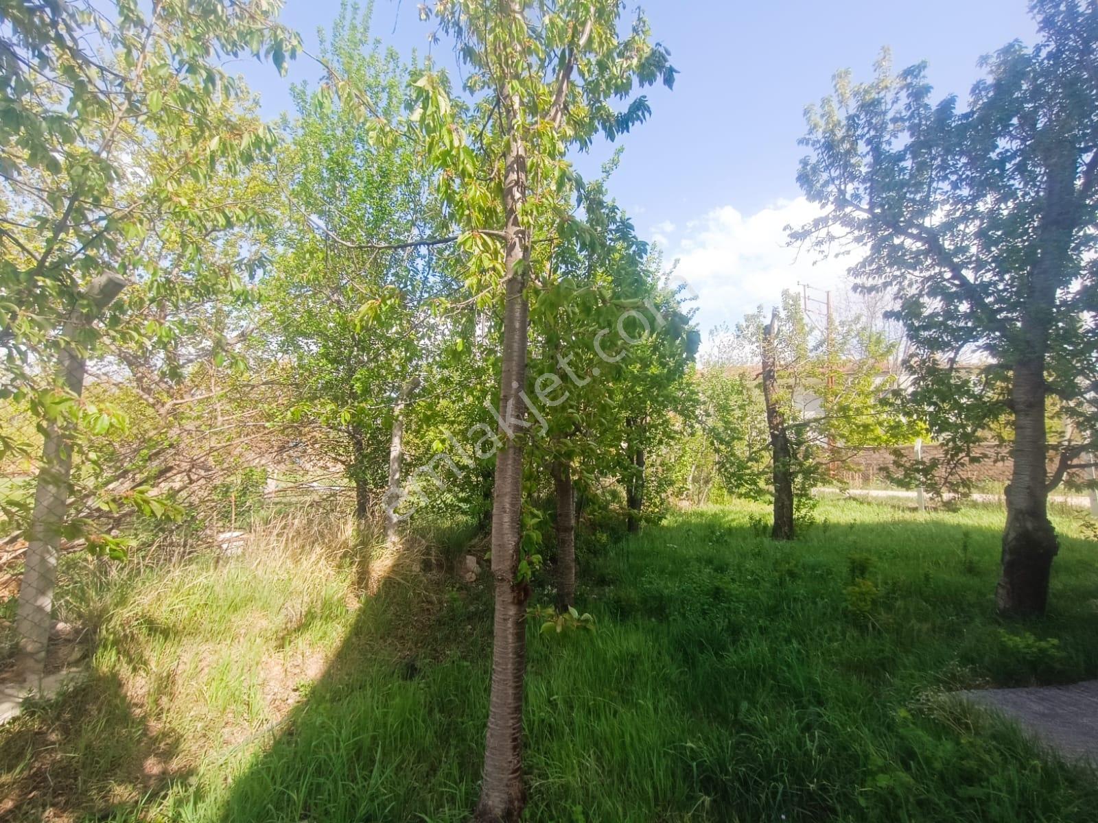 Cm Emlak Bahçeli De 2+1 160 M2 Dubleks Yazlık Doğalgaz Önünde - Görsel 23