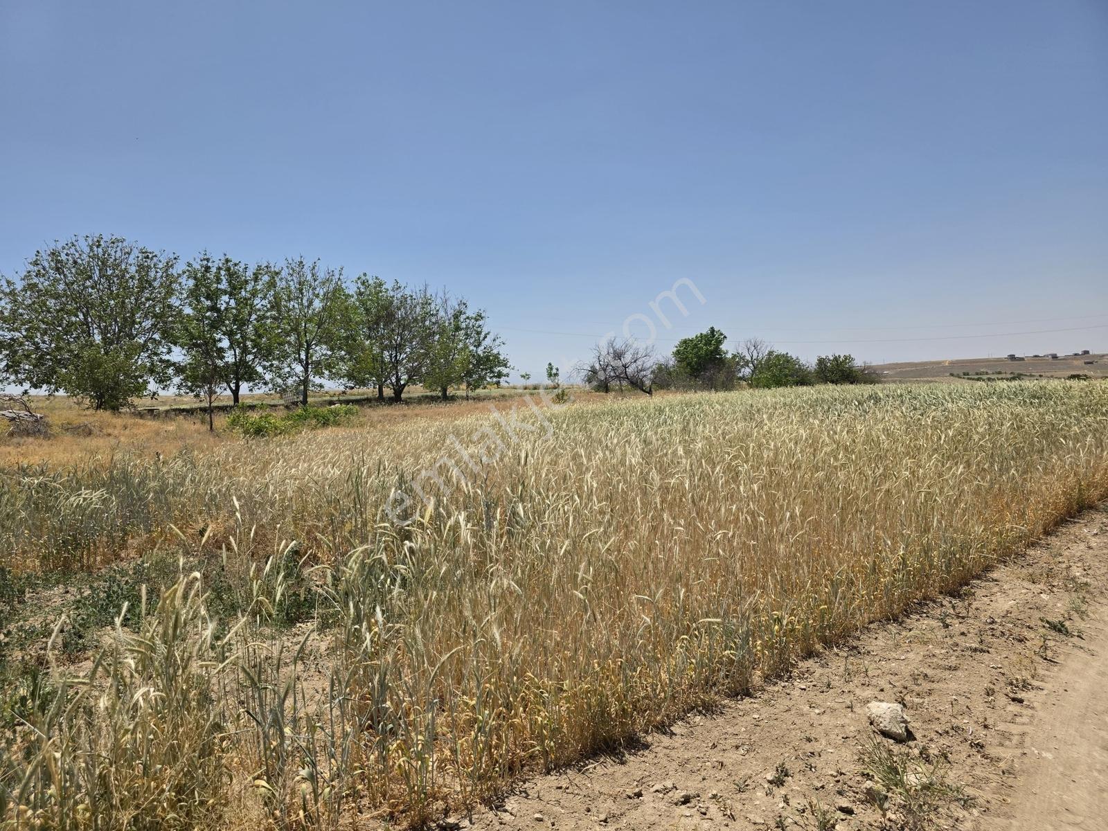Cm Emlak Bor Halaç Köyü Ana Yol Kenarı 20.900 M2 Arazi - Görsel 2