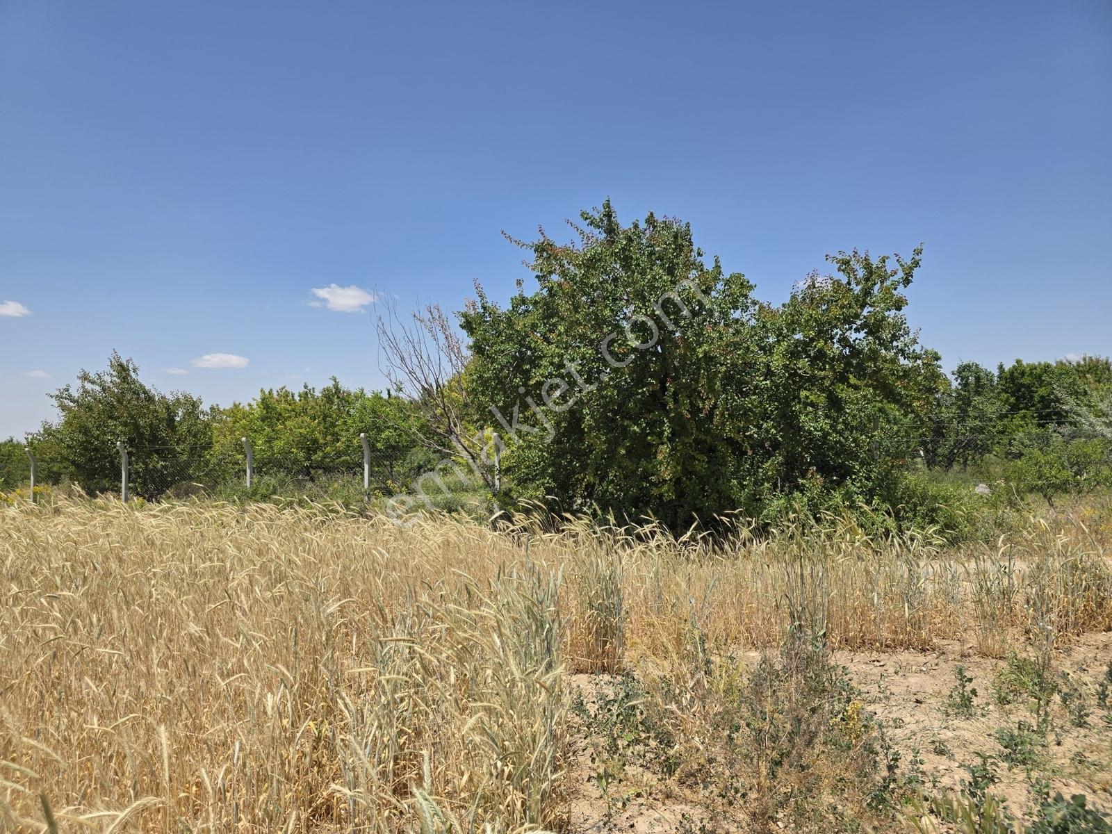 Cm Emlak Bor Halaç Köyü Ana Yol Kenarı 20.900 M2 Arazi - Görsel 13