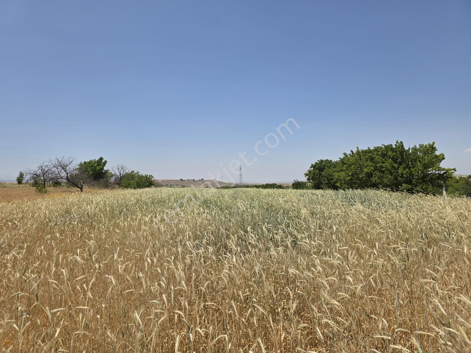 Cm Emlak Bor Halaç Köyü Ana Yol Kenarı 20.900 M2 Arazi - Görsel 14