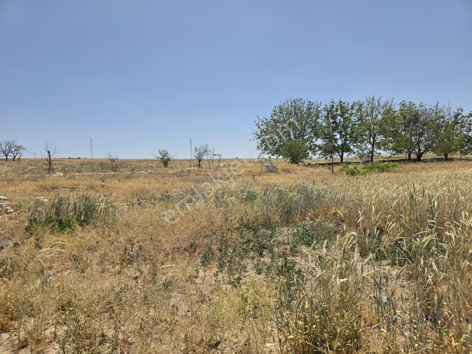 Cm Emlak Bor Halaç Köyü Ana Yol Kenarı 20.900 M2 Arazi - Görsel 8