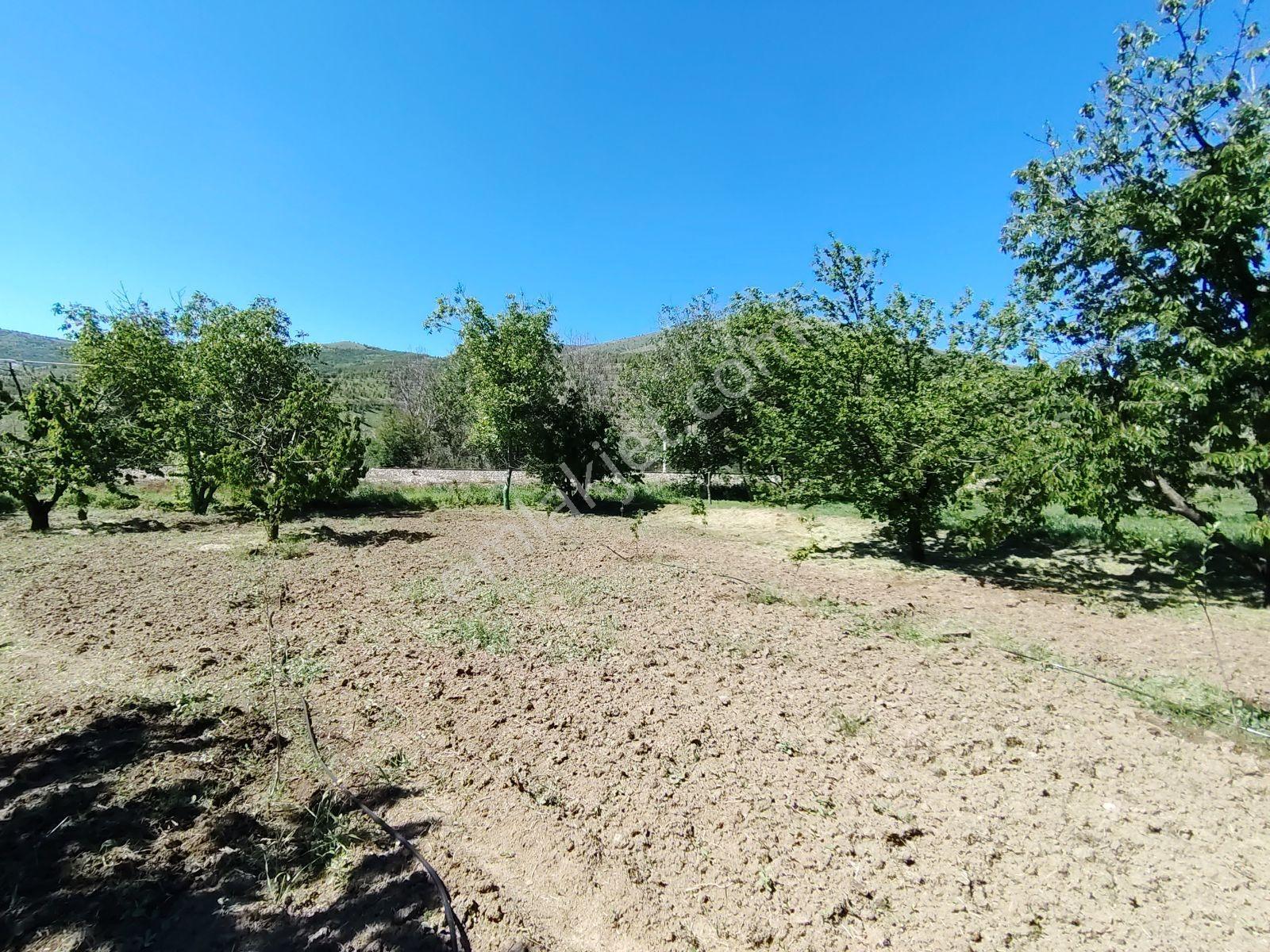 Cm Emlak Ulukışla Beyağıl Köyü Uygun Fiyatlı 1257 M2 Bahçe - Görsel 9