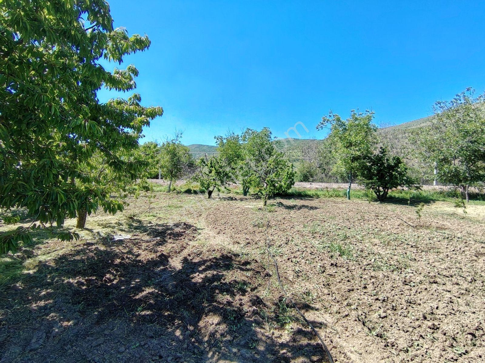Cm Emlak Ulukışla Beyağıl Köyü Uygun Fiyatlı 1257 M2 Bahçe - Görsel 8