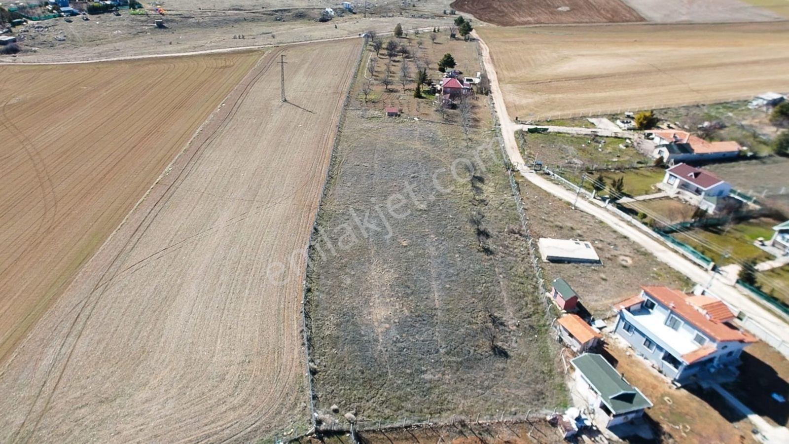12 Dönüm Müstakil Arsa İçinde Yapı Kayıt Belgeli Ev - Görsel 8