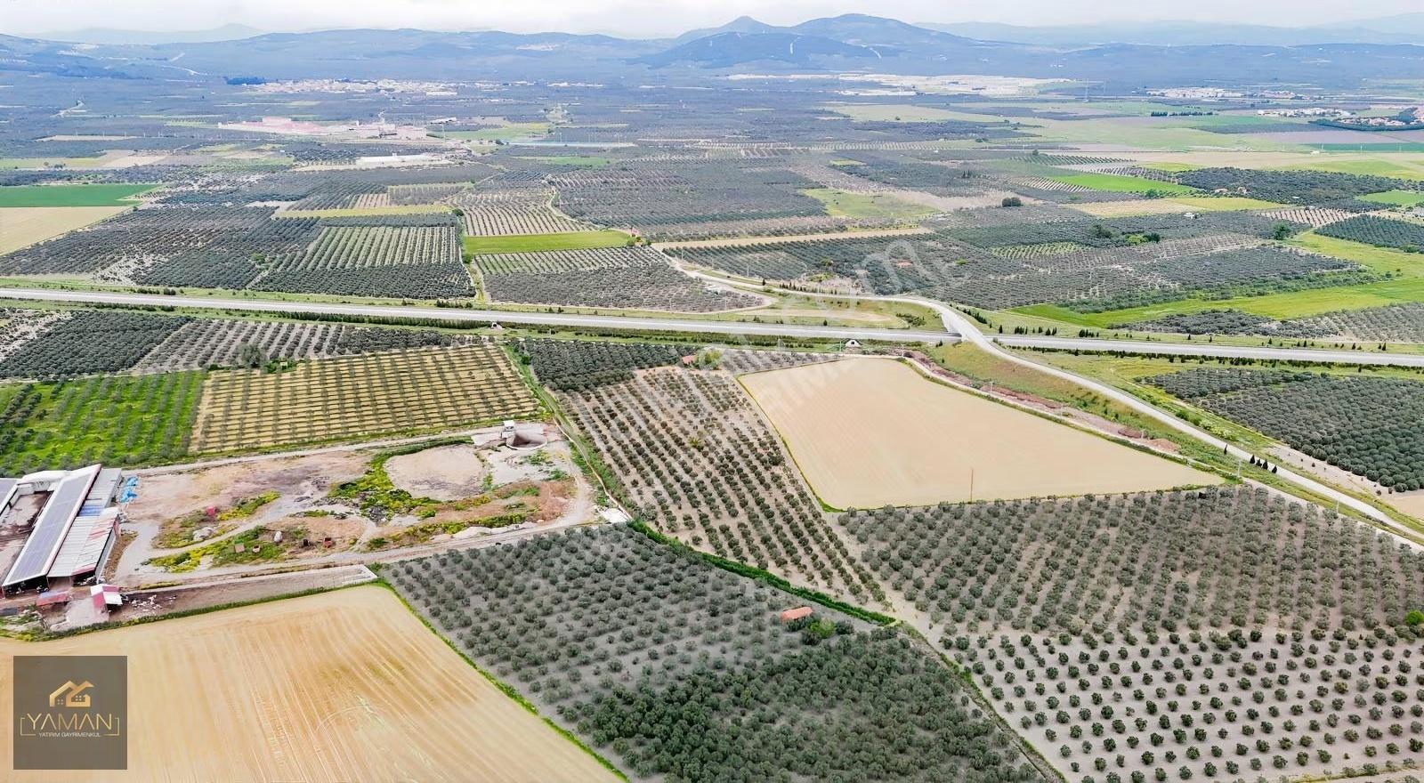 Akhisar Eroğlunda 18.900 M² Satılık Zeytinlik | Su Sondajı | Yol - Görsel 23