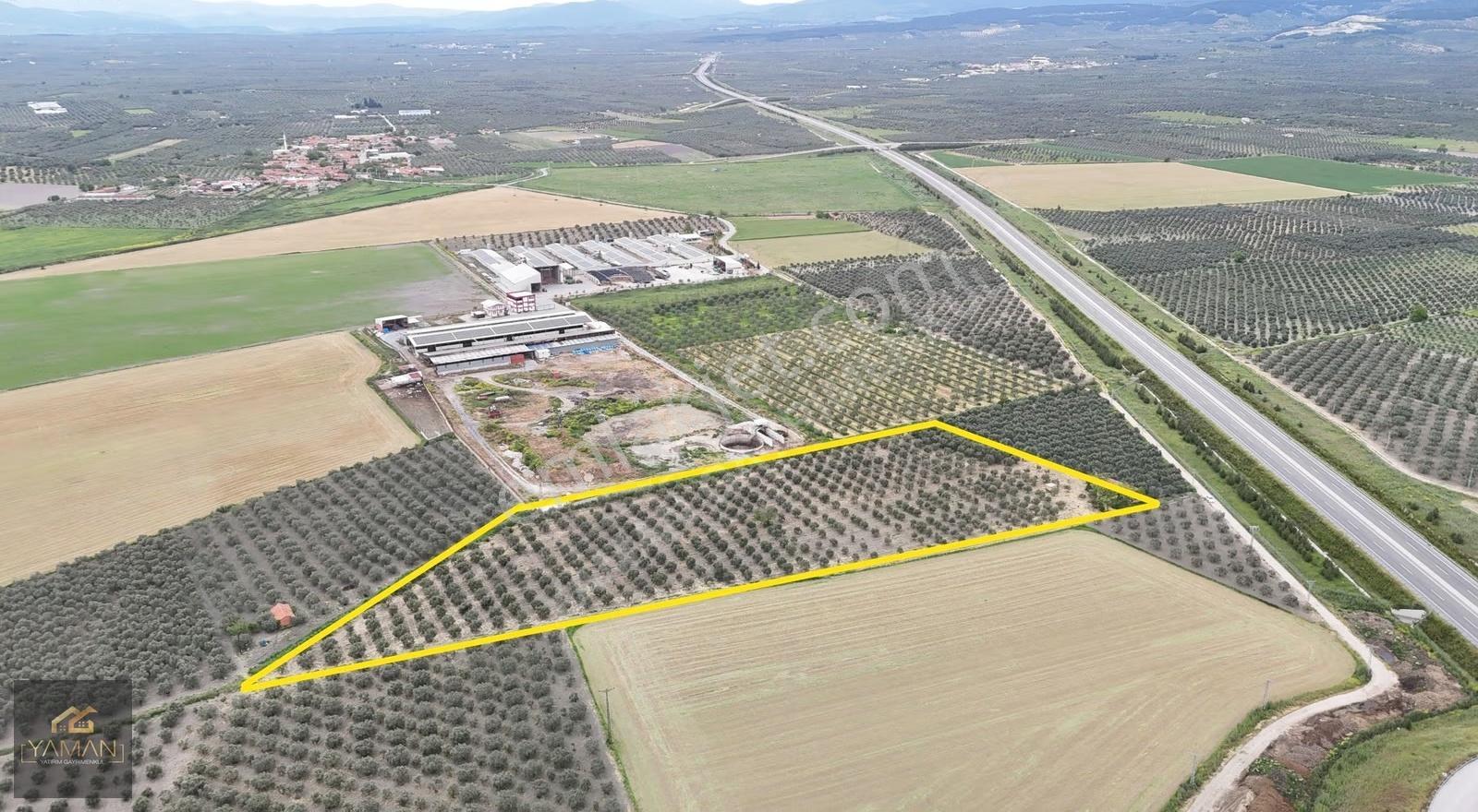 Akhisar Eroğlunda 18.900 M² Satılık Zeytinlik | Su Sondajı | Yol - Görsel 10