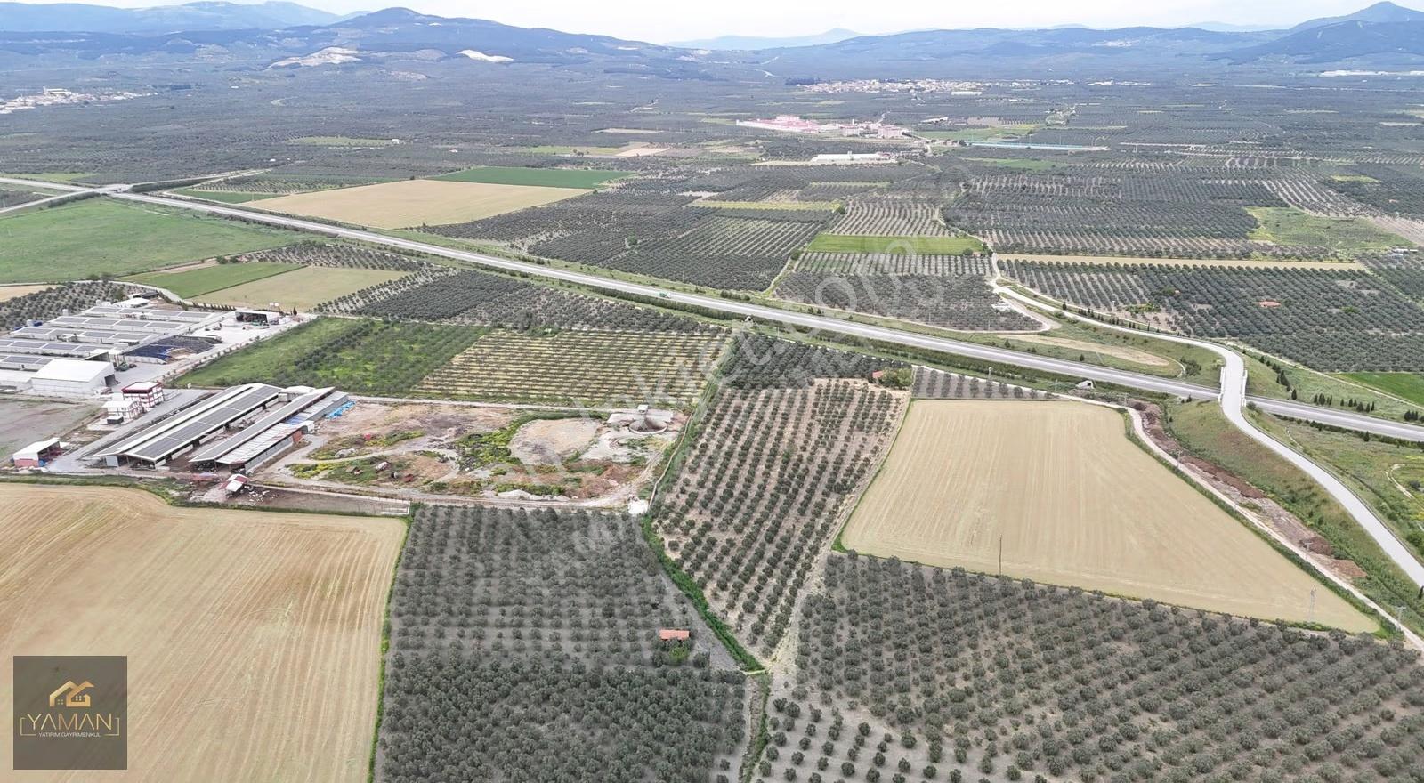 Akhisar Eroğlunda 18.900 M² Satılık Zeytinlik | Su Sondajı | Yol - Görsel 19