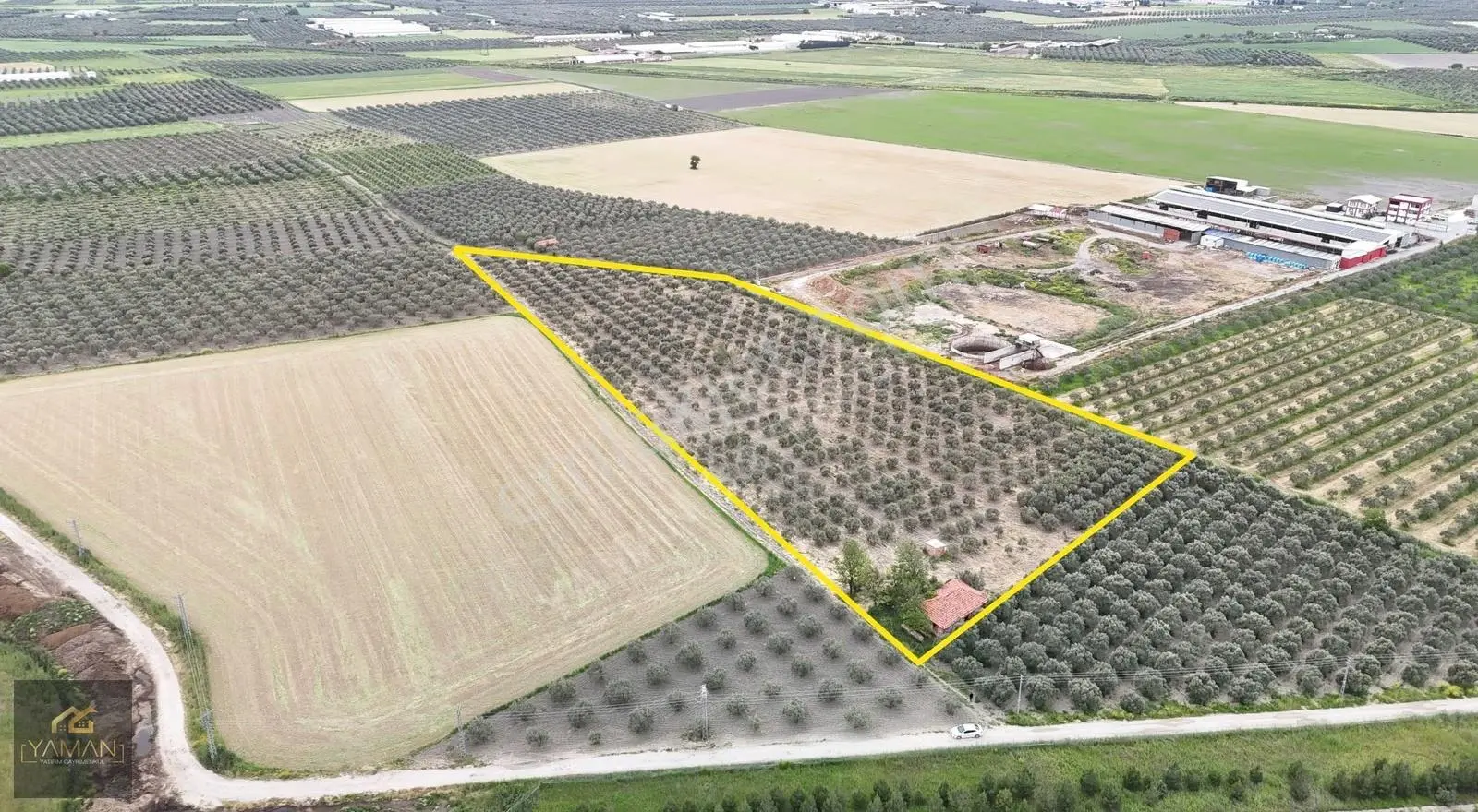 Akhisar Eroğlunda 18.900 M² Satılık Zeytinlik | Su Sondajı | Yol - Görsel 9