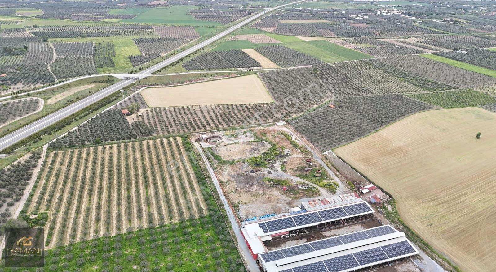 Akhisar Eroğlunda 18.900 M² Satılık Zeytinlik | Su Sondajı | Yol - Görsel 30