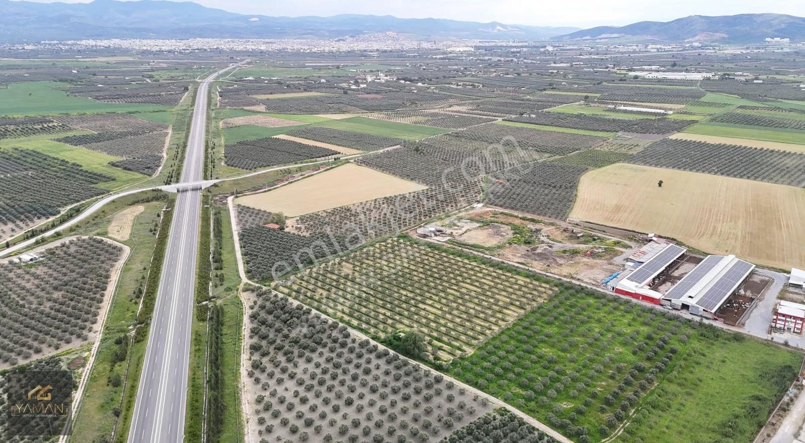 Akhisar Eroğlunda 18.900 M² Satılık Zeytinlik | Su Sondajı | Yol - Görsel 35