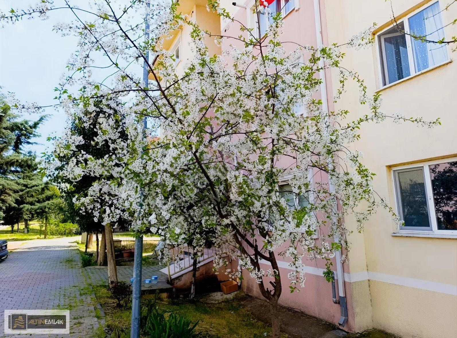 Tekirdağ-süleymanpaşa Karadeniz Toki Dy-1 Blokları Satılık Daire - Görsel 12