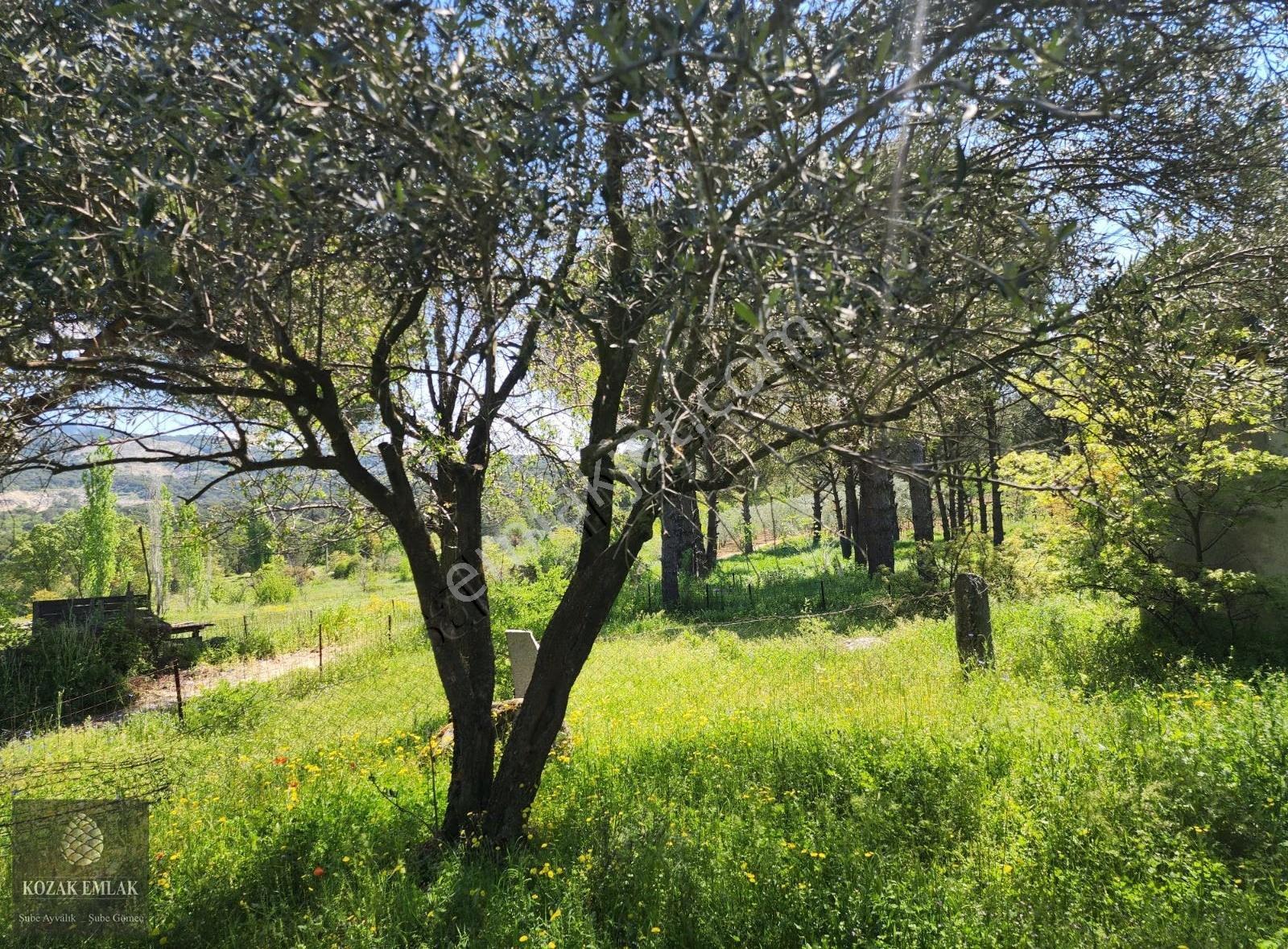 Bergama Kozak Okçular Bahçe Satılık - Görsel 12