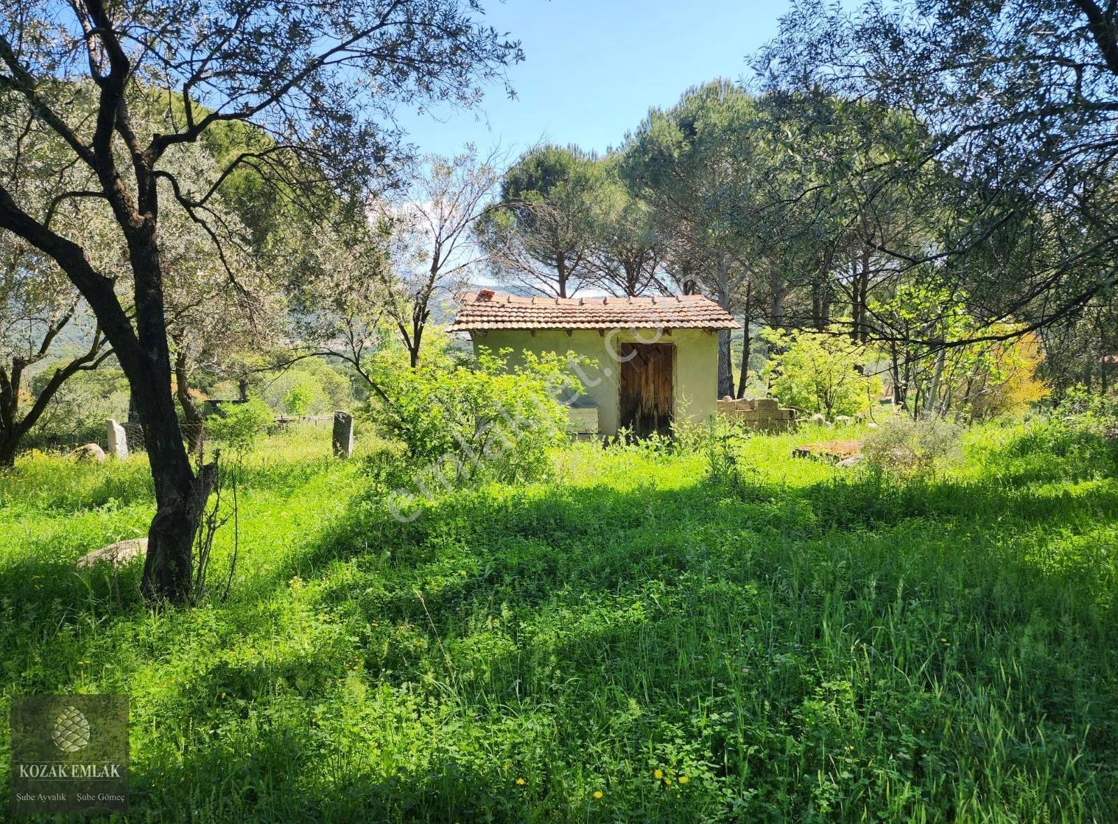 Bergama Kozak Okçular Bahçe Satılık - Görsel 10