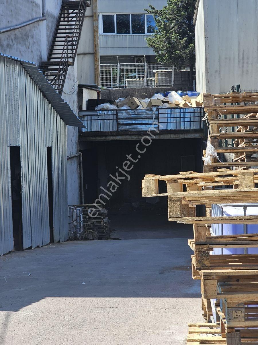 Kiralık İkibin Metrekare Kapalı Alan - Görsel 8