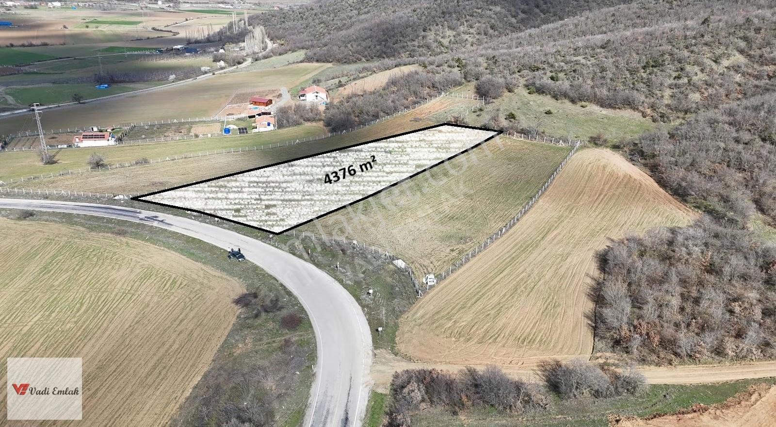Çamağzı Köyü'nde Satılık 4010 M² Tarla | Vadi Emlak - Görsel 3
