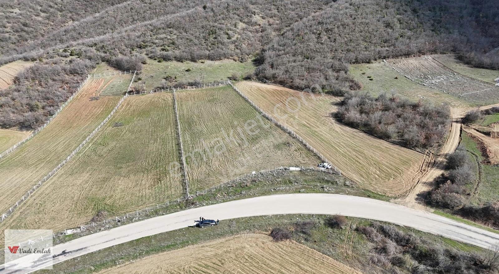 Çamağzı Köyü'nde Satılık 4010 M² Tarla | Vadi Emlak - Görsel 15