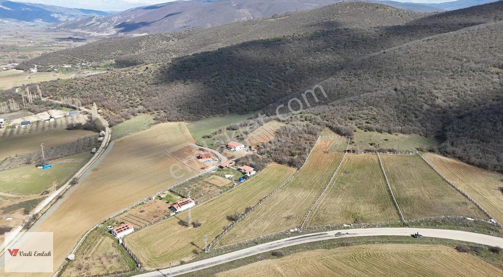 Çamağzı Köyü'nde Satılık 4010 M² Tarla | Vadi Emlak - Görsel 2