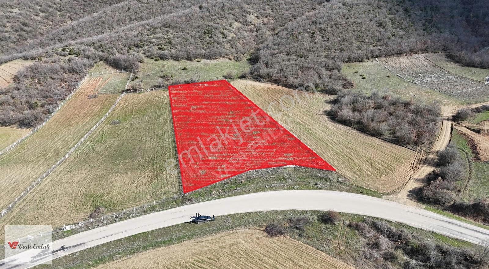 Çamağzı Köyü'nde Satılık 4010 M² Tarla | Vadi Emlak - Görsel 7