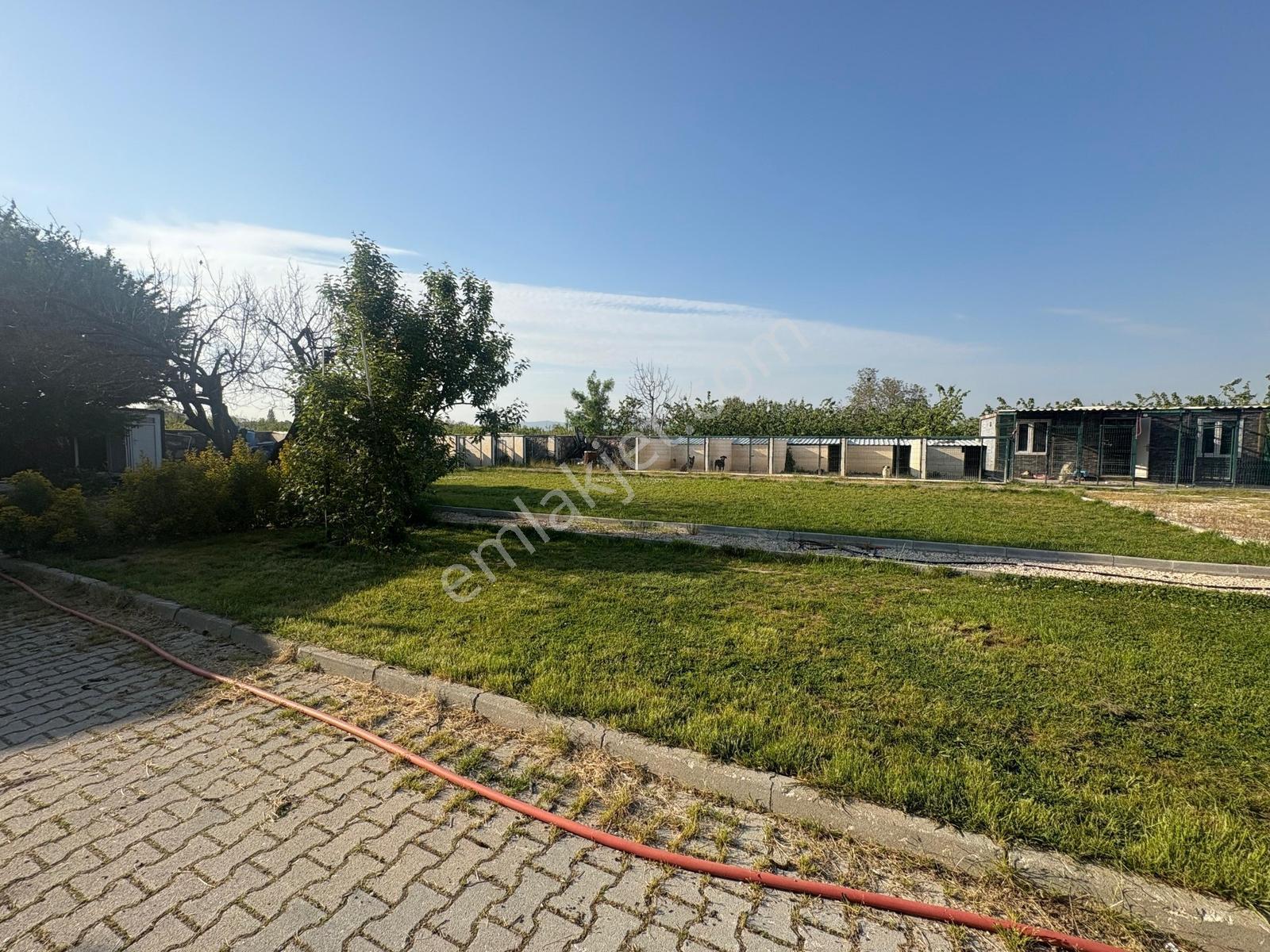 Yeniceabat Ta Taş Duvar Parkeli Kiralık 5979m2 Arsa Profasor *da - Görsel 19