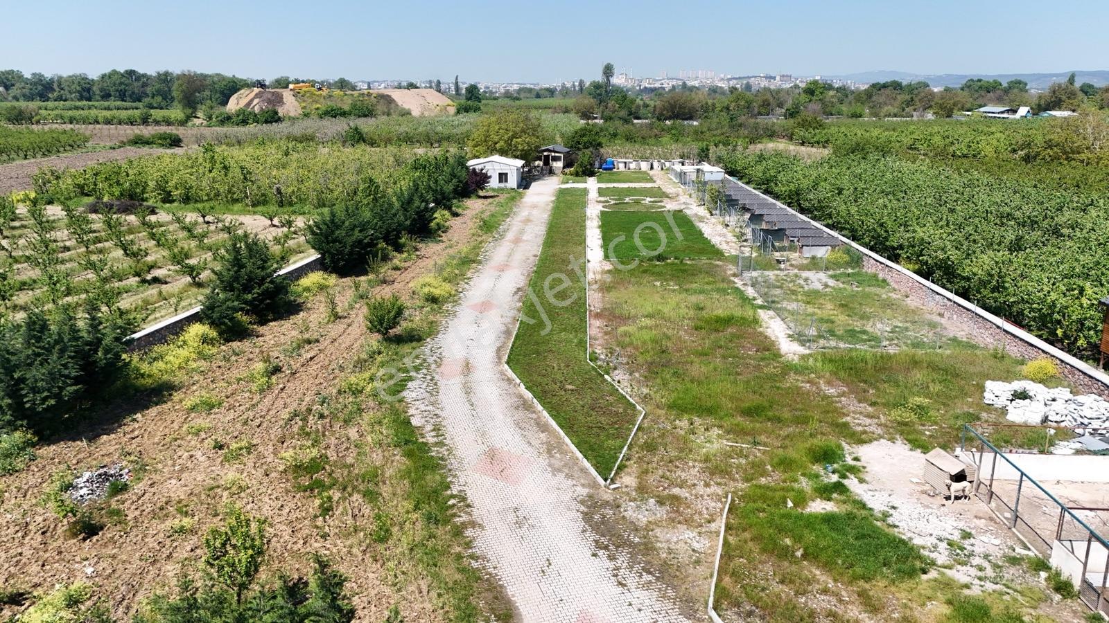 Yeniceabat Ta Taş Duvar Parkeli Kiralık 5979m2 Arsa Profasor *da - Görsel 4