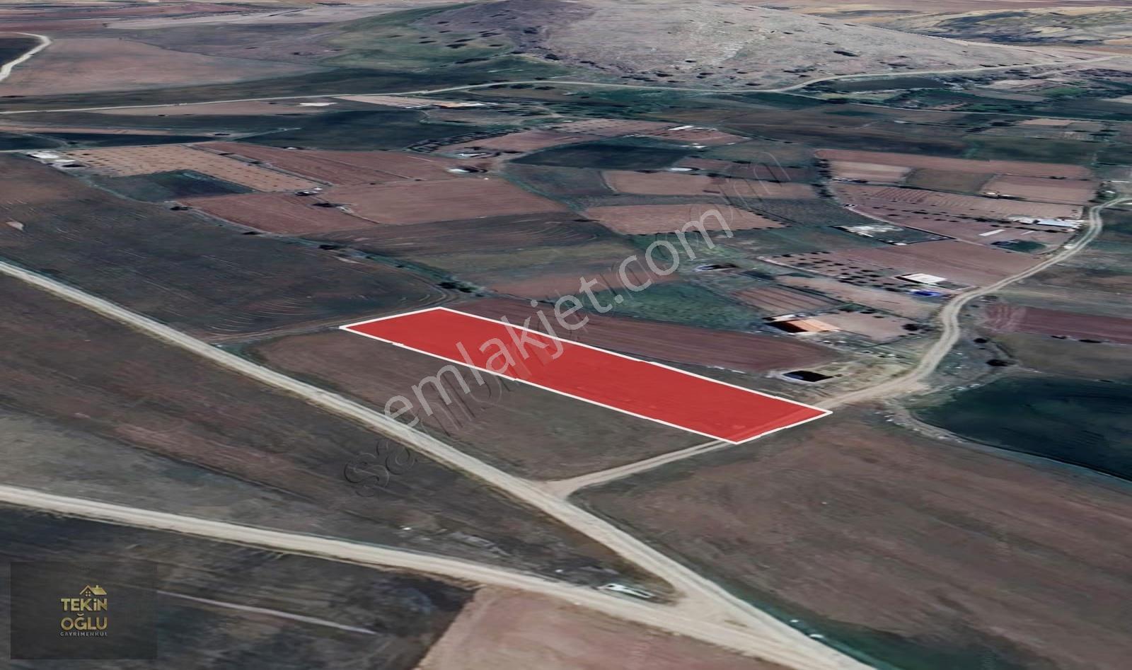 Karadiğin'de Ekim Dikime Uygun 1.906 M² Müstakil Verimli Tarla - Görsel 4