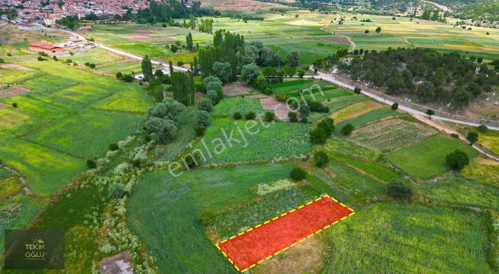 Afyonkarahisar Hocalar Çepni 500 M² Müstakil Tarla - Görsel 8