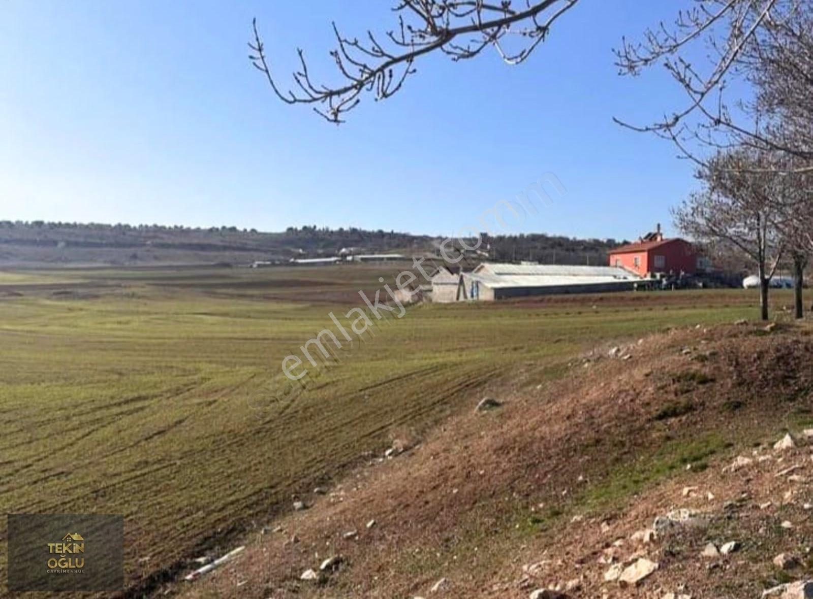 Akören Merkez'de İmar Dibi Fırsat 750 M² Müstakil Tapulu Tarla - Görsel 8