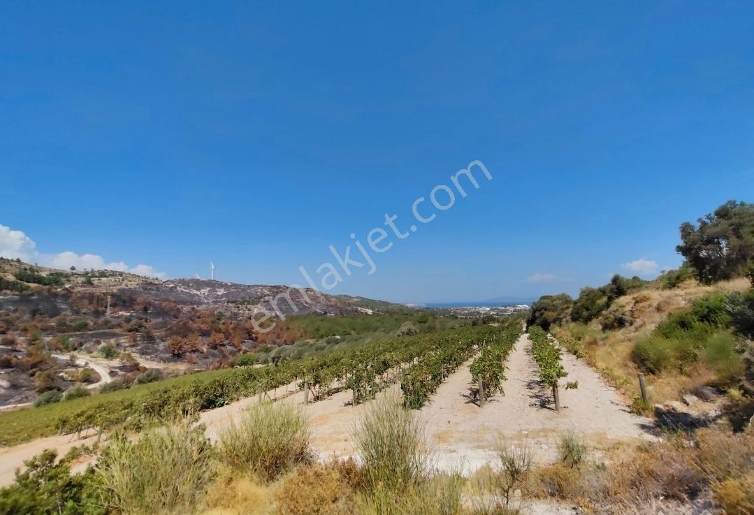 Rw Nest'ten İzmir Çeşme Ilıcada Deniz Manzaralı Satılık Tarla