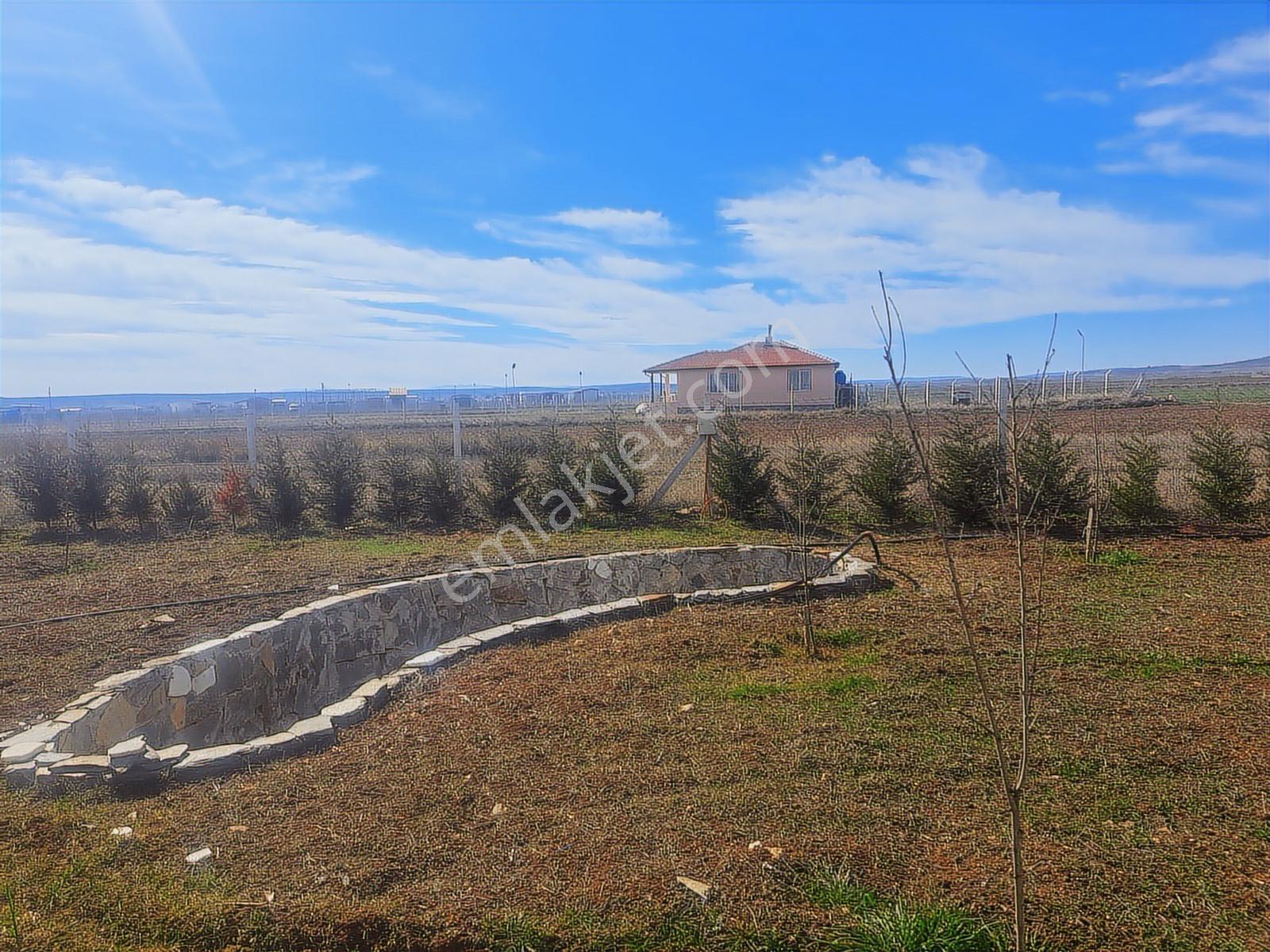Rw Nest'ten Aşağı Kartal Da Bakımlı 2.010 M2 Satılık Bahçe - Görsel 5