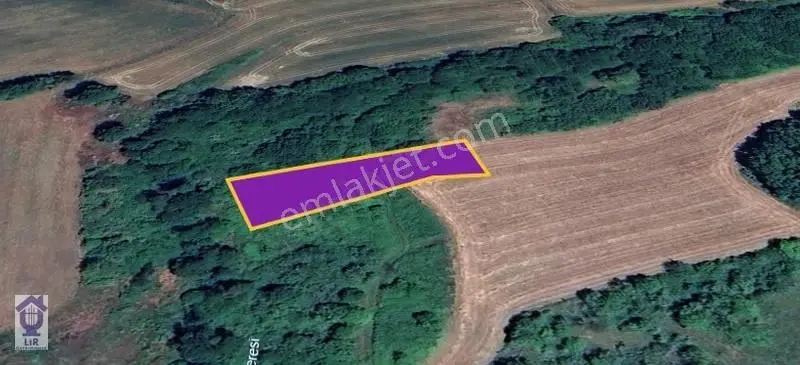 Lir Den Saray Büyükyoncalı Bozobada Satılık 1370 M2 Tarla