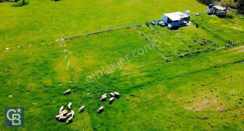 Aliağa Çıtak Mahallesinde 555 M² Satılık Hobi Bahçesi - Görsel 8