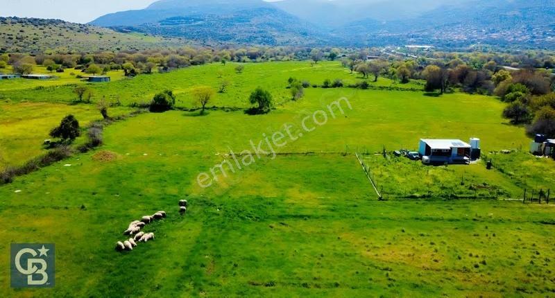 Aliağa Çıtak Mahallesinde 555 M² Satılık Hobi Bahçesi - Görsel 17