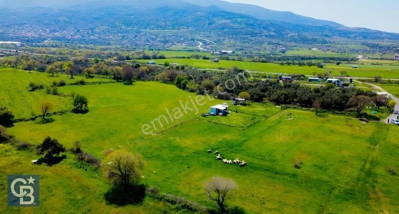 Aliağa Çıtak Mahallesinde 555 M² Satılık Hobi Bahçesi - Görsel 14