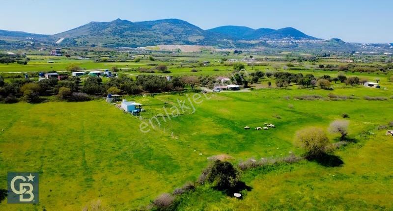 Aliağa Çıtak Mahallesinde 555 M² Satılık Hobi Bahçesi - Görsel 19