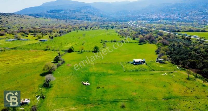 Aliağa Çıtak Mahallesinde 555 M² Satılık Hobi Bahçesi - Görsel 21