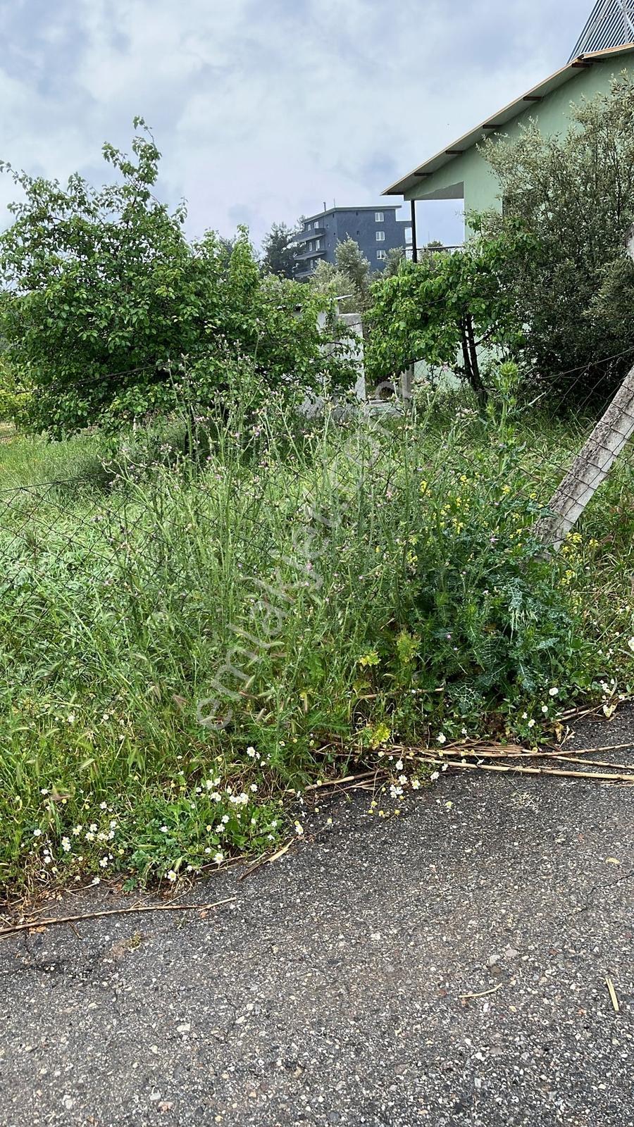 Buca Belenbaşı'nda Köy İçinde 2755 M2 Tarla - Görsel 7
