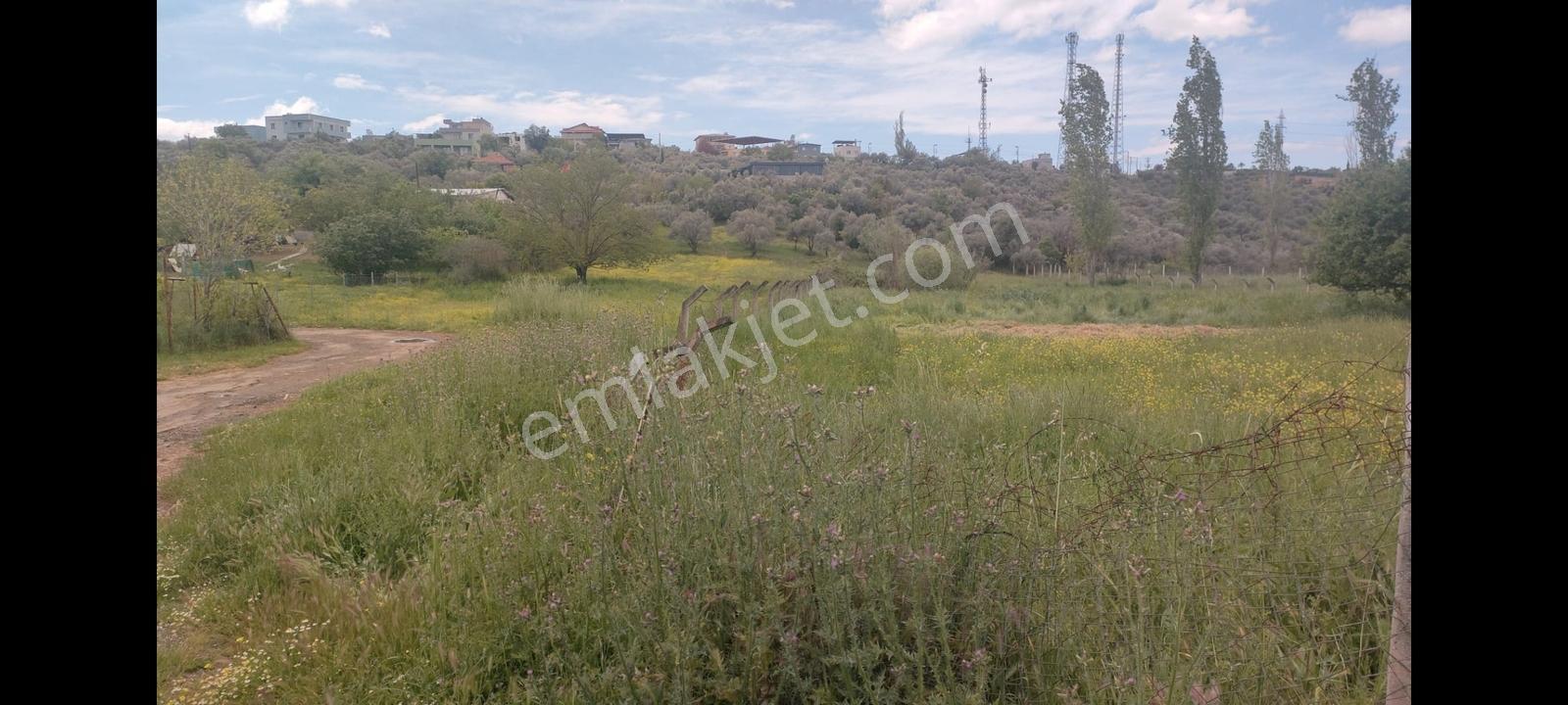 Buca Belenbaşı'nda Köy İçinde 2755 M2 Tarla - Görsel 3