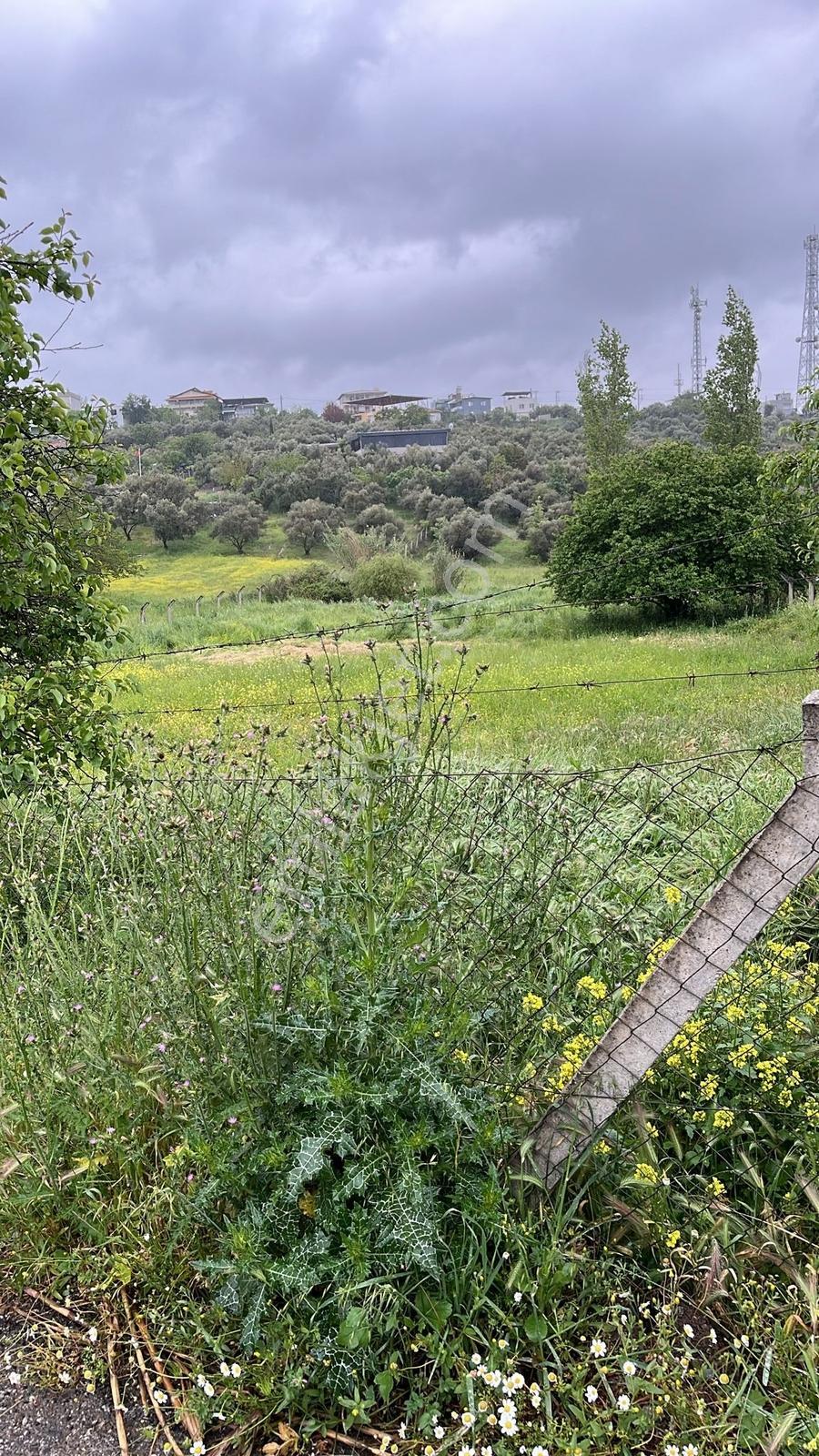 Buca Belenbaşı'nda Köy İçinde 2755 M2 Tarla - Görsel 2