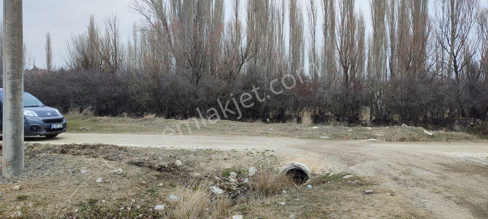 Rw Nest'ten Ayvalı'da Satılık 923m2 Bahçe Tapulu Arazi - Görsel 10
