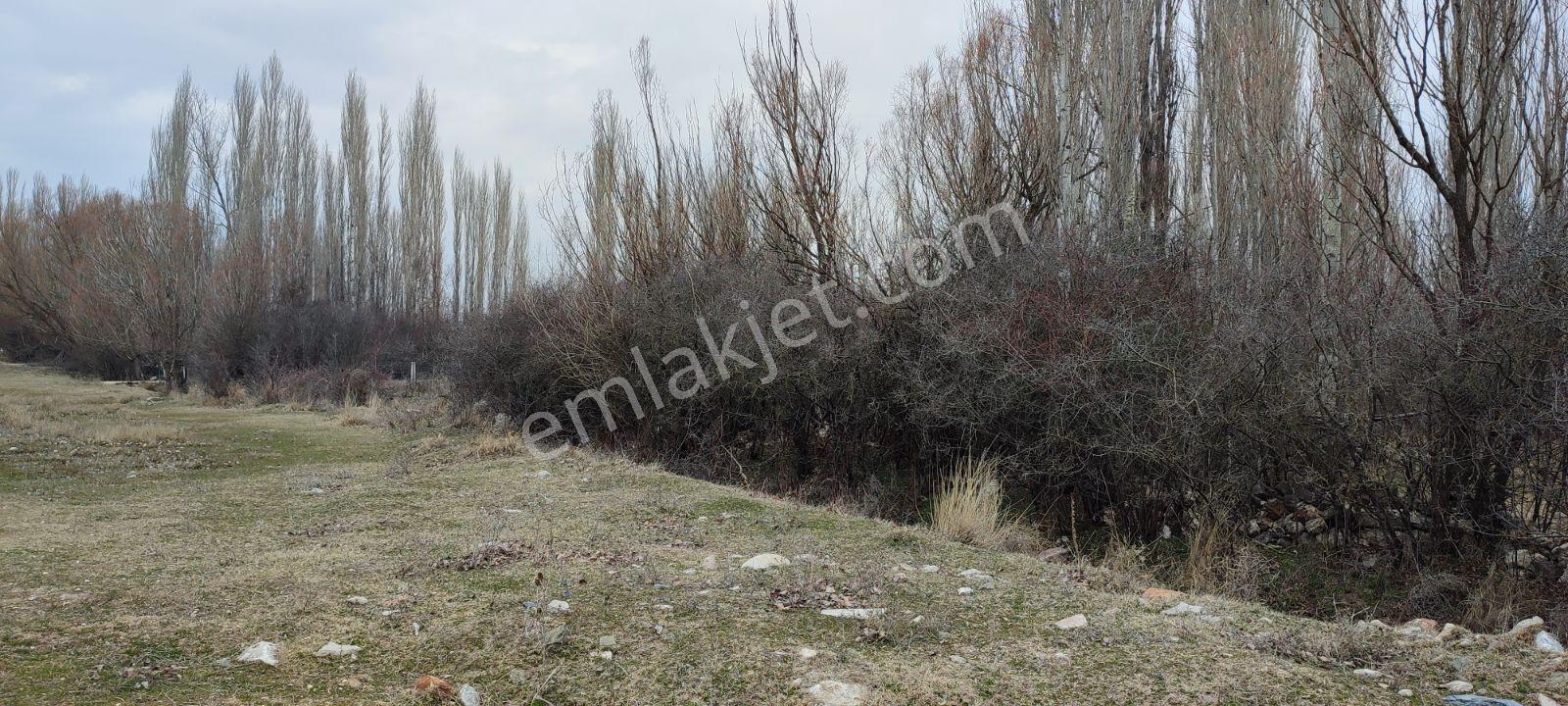 Rw Nest'ten Ayvalı'da Satılık 923m2 Bahçe Tapulu Arazi - Görsel 3