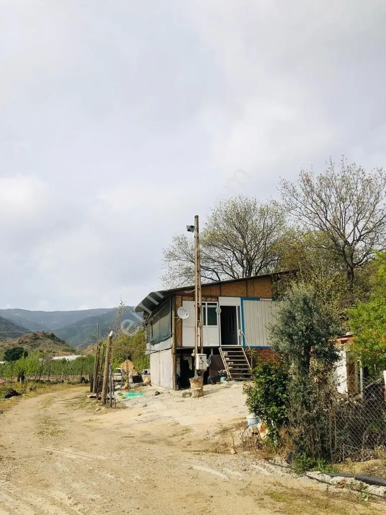 Rw Nestten Sarıcakaya İğdir De Satılık Meyve Bahçesi Ve Evi - Görsel 13