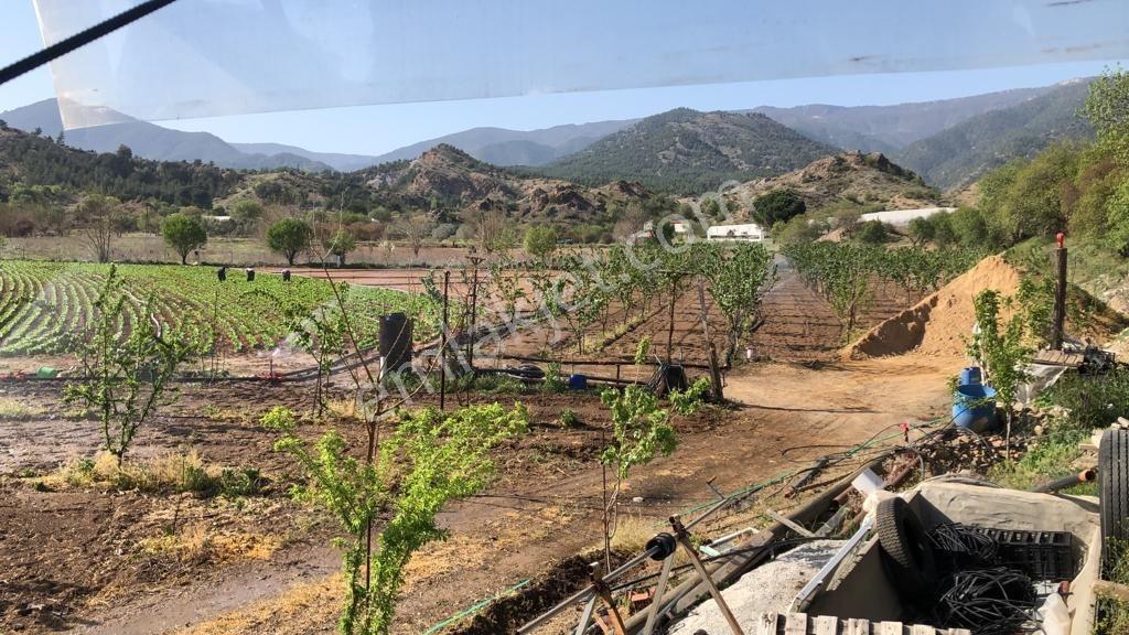 Rw Nestten Sarıcakaya İğdir De Satılık Meyve Bahçesi Ve Evi
