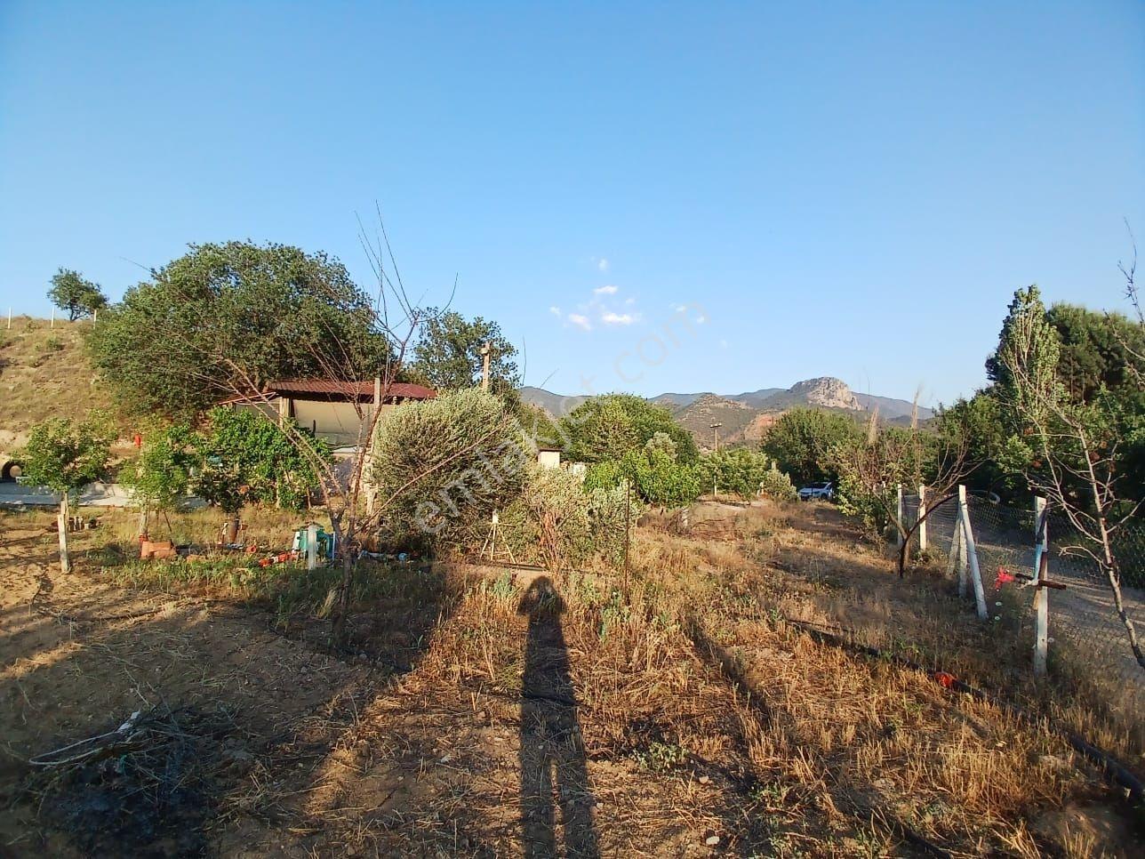Rw Nestten Sarıcakaya İğdir De Satılık Meyve Bahçesi Ve Evi - Görsel 14